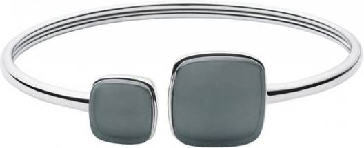 Skagen Armbanden Sea Glass SKJ0870040 Zilverkleurig online kopen