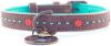 DWAM Halsband Joplin Bruin&Turquoise&Oranje Hondenhalsband 29 35x2.0 cm online kopen