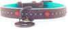 DWAM Halsband Joplin Bruin&Turquoise&Oranje Hondenhalsband 29 35x2.0 cm online kopen