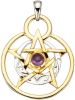 WENZ Hanger met pentagram van echt zilver Zilverkleur/Geelgoudkleur online kopen