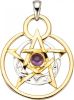 WENZ Hanger met pentagram van echt zilver Zilverkleur/Geelgoudkleur online kopen
